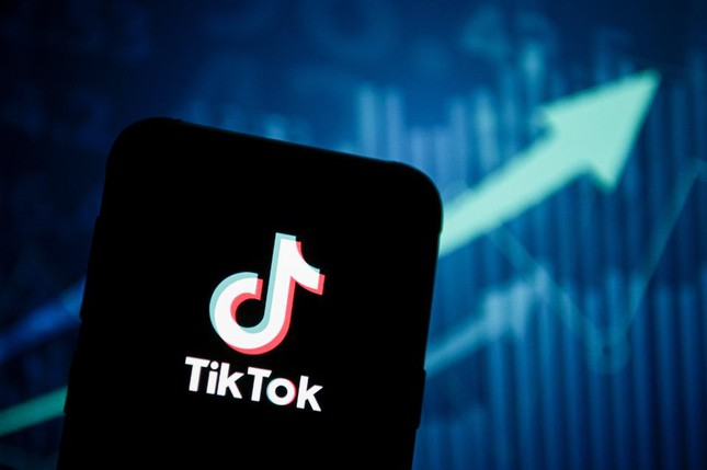 tăng follow tiktok