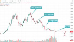 Bear market trong thị trường crypto