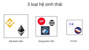 hệ sinh thái crypto