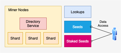 Các loại Node: Shard Node, DS Node, Lookup Node, Seed Node, Stake Seed Node (SSN)