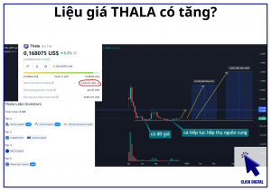 Thala Labs market cap thấp hơn số tiền đầu tư, liệu giá có tăng?