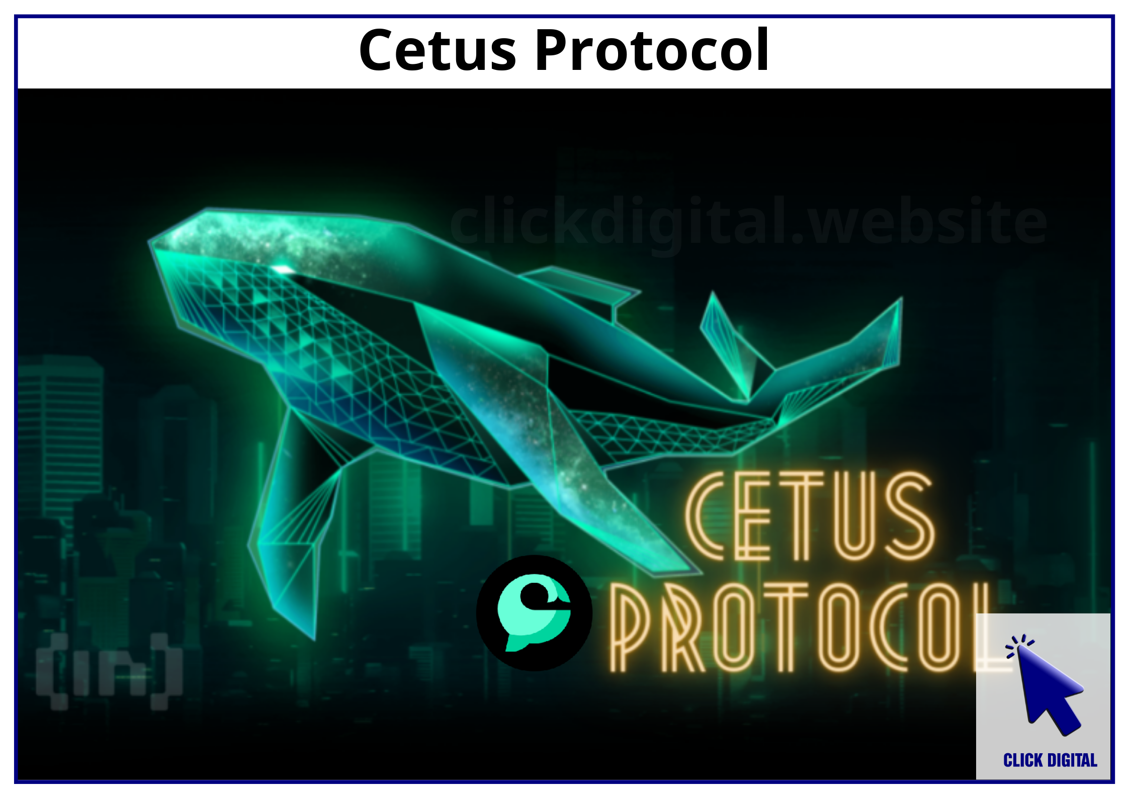 Có nên đầu tư dự án Cetus Protocol?