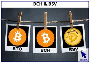 BCH & BSV