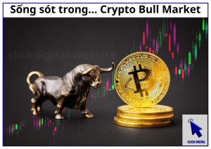 Sống sót trong... Crypto Bull Market