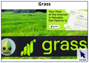 Hướng dẫn cách chia sẻ mạng để kiếm phần thưởng từ Grass: dự án backed bởi Polychain