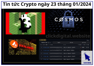 Tin tức Crypto ngày 23 tháng 01/2024: OKB đột ngột rớt giá chia đôi