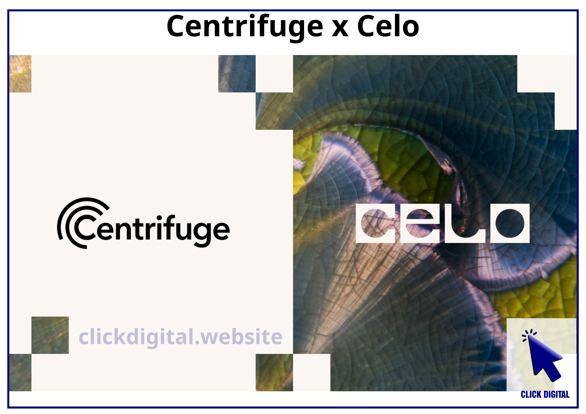 Centrifuge x Celo