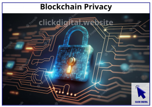 Blockchain Privacy