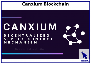 Canxium Blockchain với supply phi tập trung dựa trên cung cầu