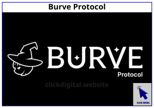 Burve Protocol