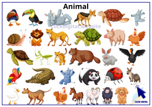 Animal, động vật