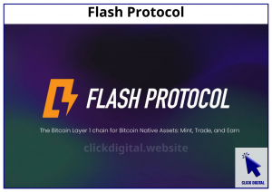 Flash Protocol