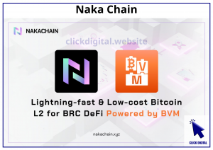 Naka Chain