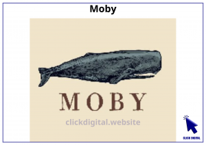 Moby