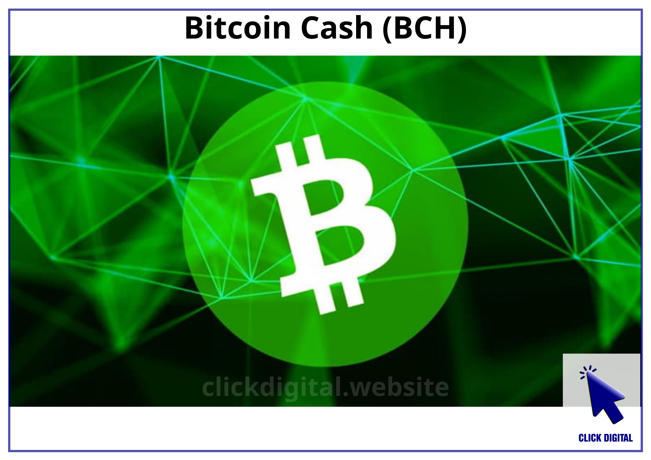 Bitcoin Cash (BCH)