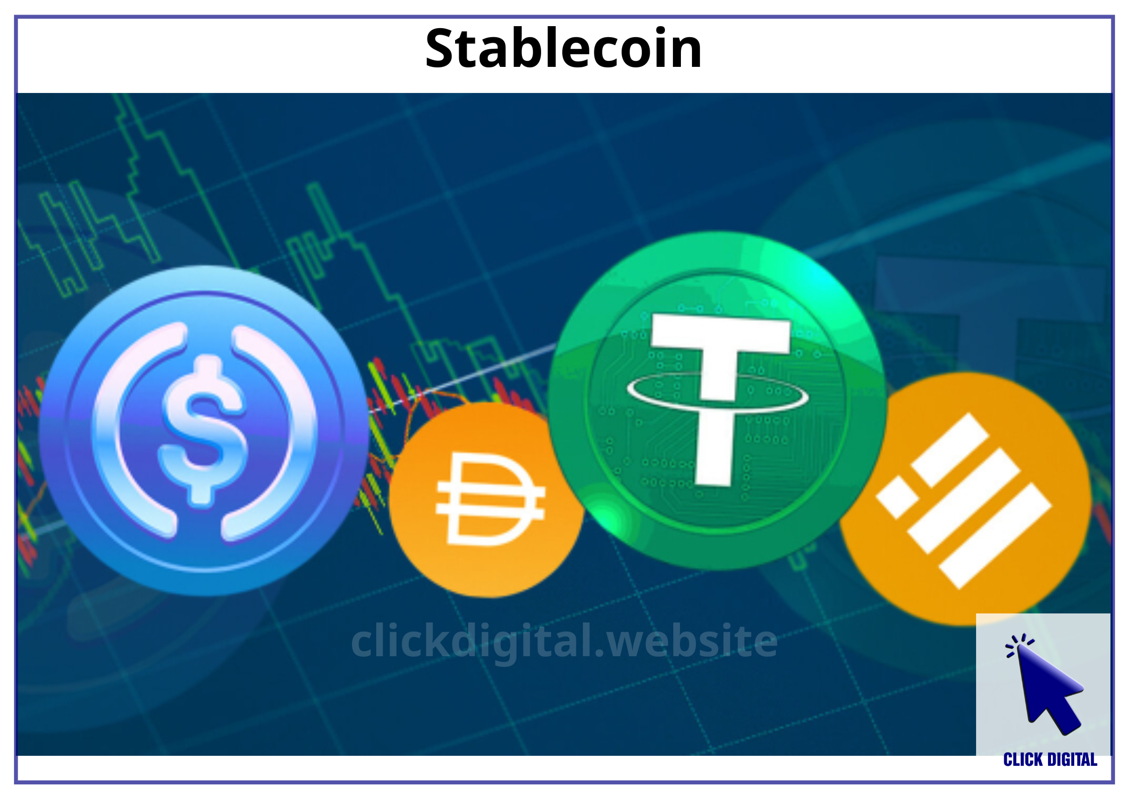 The Surge of Stablecoins at the End of 2024 and What to Expect in 2025