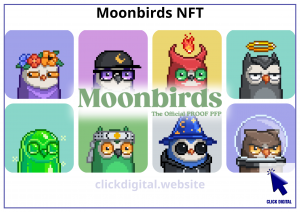 Moonbirds NFT