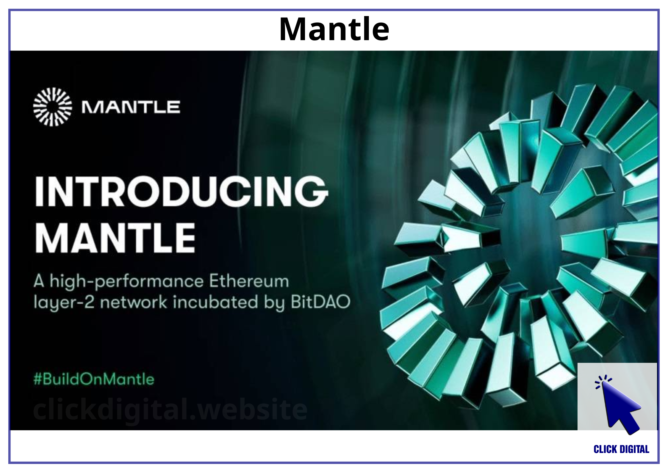 Mantle – Cập nhật tình hình trong 30 ngày qua (tháng 10/2024): Ổn định nhưng chưa bứt phá!