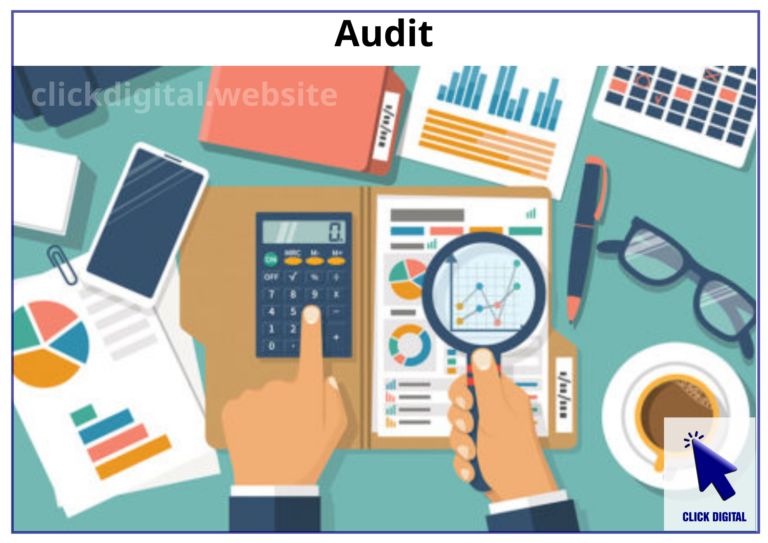 Finance Audit